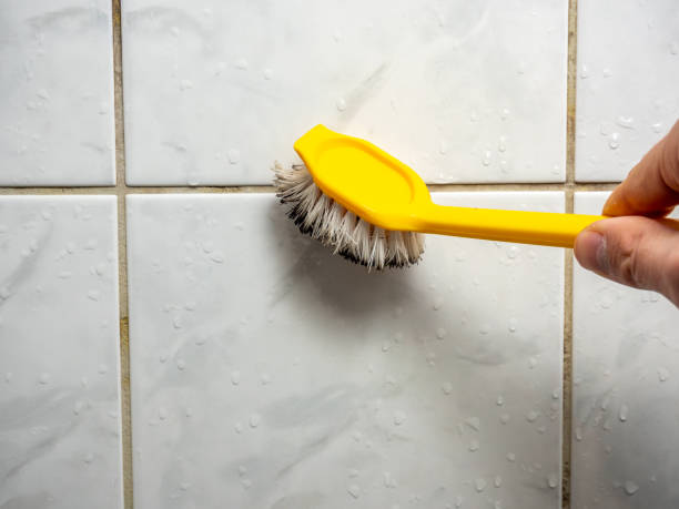 Office Mold Removal Services in Madeira, OH