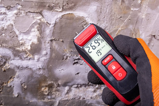 Best Mold Damage Repair  in Madeira, OH