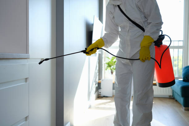 Best Commercial Mold Removal  in Madeira, OH